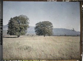 Image représentant Noyers