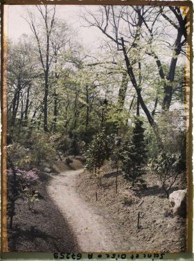 Image représentant Le jardin japonais de l'école normale supérieure de jeunes filles (ENSJF)