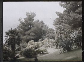 Image représentant Le Jardin