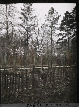 Image représentant Le bois de Boulogne