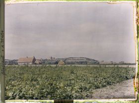 Image représentant Belgique, Locre, Une vue sur le Mont Rouge