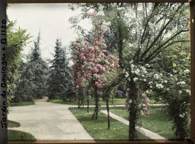 Image représentant Allée longeant la dépendance au nord-ouest du verger roseraie, vue en direction de la forêt bleue