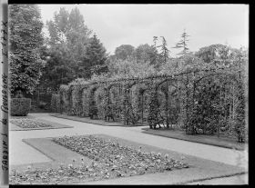 Image représentant Parterres du jardin français, situés à proximité du verger-roseraie