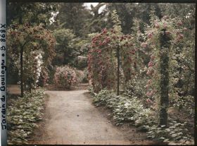 Image représentant Plantes potagères au bord d'une allée menant au jardin japonais, à l'est du verger-roseraie