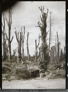Image représentant France, Chaulnes, Ensemble du Chau et du Parc