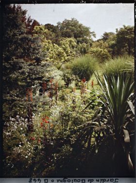 Image représentant Plate-bande fleurie de la forêt bleue, vue en direction du marais