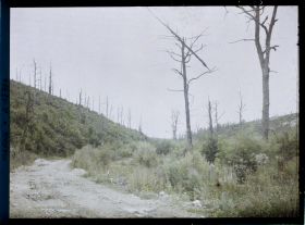 Image représentant France, Bois de la Gruerie, Le Bois de la Gruerie