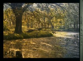 Image représentant France, , Le Château de Plémont