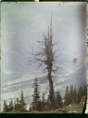 Image représentant France Les Alpes, Vue prise de la Flégère. Effet de brume s/la vallée de Chamonix et le Mont-Blanc