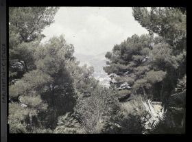 Image représentant Vue sur Monaco et une allée du jardin à travers la végétation
