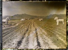 Image représentant Ming Shisanling (" Treize Tombeaux des Ming ")