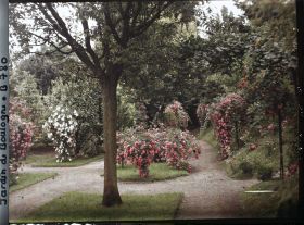 Image représentant Parterres et rosiers en fleurs ornant l'allée sud du verger-roseraie, vue en direction de l'est