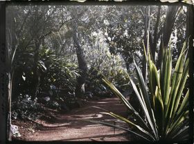 Image représentant Jardin divers