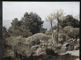 Image représentant Le Jardin vue vers la Mer