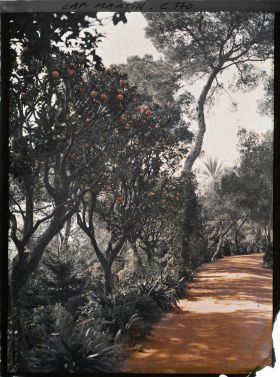 Image représentant Cap Martin - Le Jardin