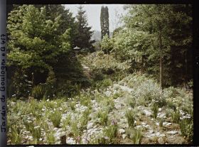 Image représentant Lanterne en haut d'un chemin escarpé du " jardin chinois " précédé d'un espace pierreux et herbacé