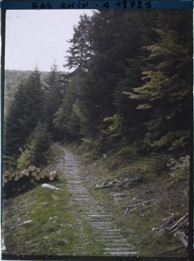 Image représentant France, La Schlitte sortant de la forêt