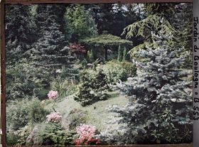 Image représentant Paysage fleuri du " sanctuaire japonais " se déroulant au pied de la façade de temple