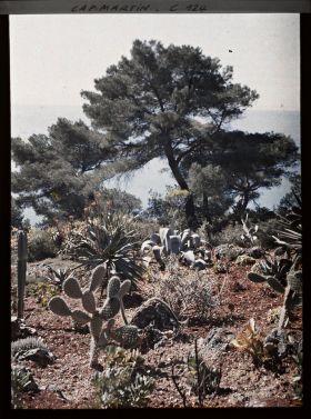 Image représentant Le jardin