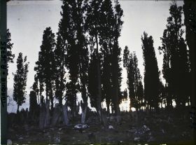 Image représentant Turquie, Constantinople, Soleil Couchant au Cimetière de Teckfour- Seraï