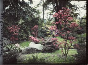 Image représentant Pierres, azalées et érables rougeoyants, situés à l'entrée du " sanctuaire japonais "