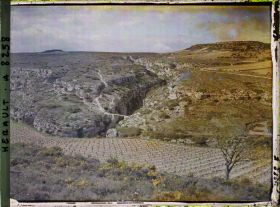 Image représentant Un coin de causse avec 2 gorges (dont la Cesse) entre Minerve et Caunette