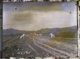 Image représentant Ming Shisanling (" Treize Tombeaux des Ming ")