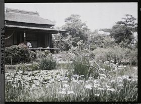 Image représentant Jardin d'iris de Horikiri