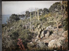 Image représentant Cap-Martin - Le Jardin