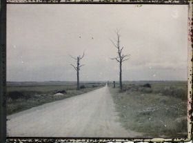 Image représentant France, Aspect de la route d'Albert à Bapaume