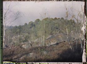 Image représentant France, Fontainebleau, Forêt de Fontainebleau