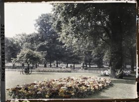 Image représentant Vues diverses d'Hyde Parc les jardins
