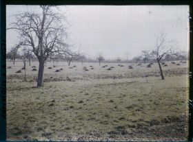 Image représentant France, Les Clayes, Champs prêts pour le labour