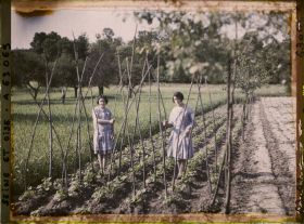 Image représentant Ile de France, Vaux, Jeunes filles ramant des haricots
