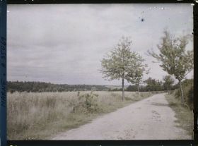 Image représentant France, St Thomas (Marne), Route de Servon à St Thomas