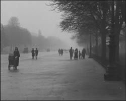 Image représentant Avenue du Bois de Boulogne