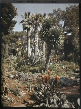 Image représentant Cap-Martin - Le Jardin