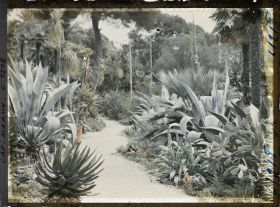 Image représentant coucher de Soleil