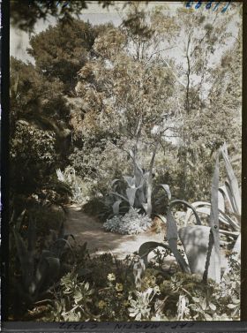 Image représentant le Jardin