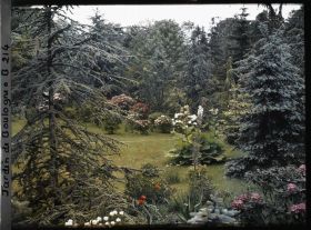Image représentant Espace fleuri proche du marais, vu en direction du nord-est