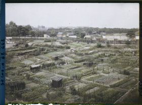 Image représentant Les jardins ouvriers dans les fossés des anciennes fortifications, porte de Clichy