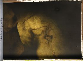 Image représentant La grotte des Trois-Frères : le sorcier