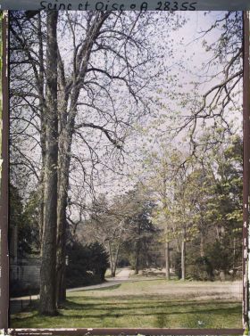 Image représentant France, Versailles, Petit Trianon : Petite Allée