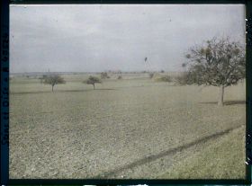 Image représentant France, Les Clayes, Champ de blé ensemencé