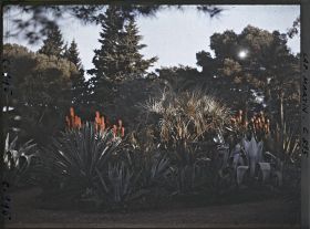 Image représentant Le Jardin au Soleil levant