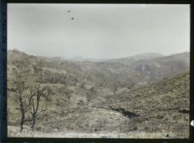 Image représentant Paysage montagneux après un incendie