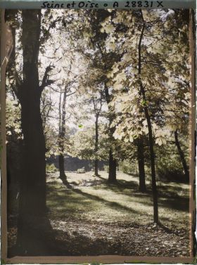 Image représentant Le jardin du Trocadéro
