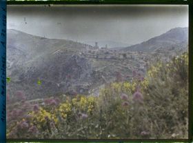 Image représentant Vue de la ville depuis un champs de fleurs