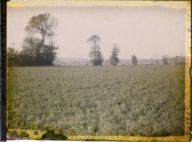 Image représentant Seine et Marne, Le Pin, La plaine en avant du village