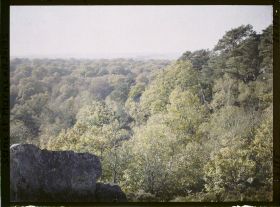 Image représentant Forêt